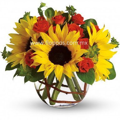 4 Girasoles Floppos Boutique Floral